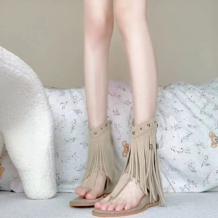 �T����K��ѥŮ2026�ļ��¿��¸��Aֺ���_�R�������ׁ���Ь