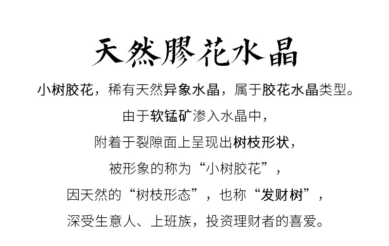 小樹膠花-換圖_02.jpg
