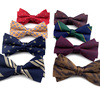 Fashionable bow tie, suit with bow, Korean style