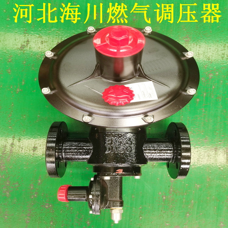 RTZ-FQ燃气调压器 RTJ-*/*NL型燃气调压器DN65天然气管网调压器