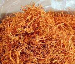 Cordyceps flower bulk wholesale, dried cordyceps flower, cordyceps flower chicken soup seasoning packets, cordyceps flower arrangement, bulk cordyceps flower.