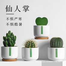 �GֲС���������������҃���������⻨��ֲ���k����������B�[��