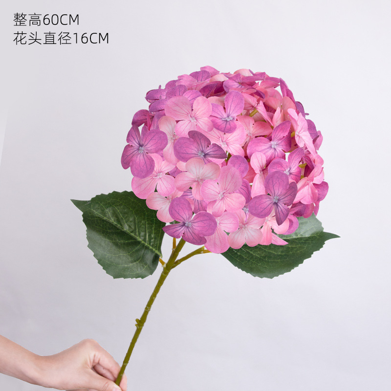 엘사 수국*로즈 레드