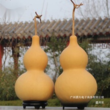 �S��ֱ�N��Ȼ���J����Ҿ��Ʒ�ش���J�[�������^����҃ȑҒ���