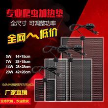 廠家直供跨境專供爬蟲寵物加熱墊發熱墊發熱片帶調溫開關紅外PTC