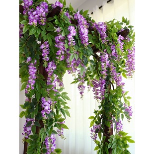 ���ٻ��ٻ��ٗl��픻������������b�����ֲ����{�ܵ��ړ�