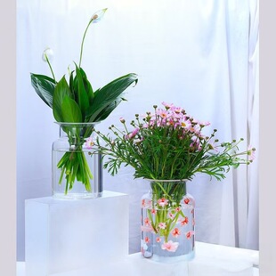 Hydroponic Glass Vase, Creative European-Style Ins Simple Transparent Flower Shop Gift Floral Art Desktop Small Water Culture