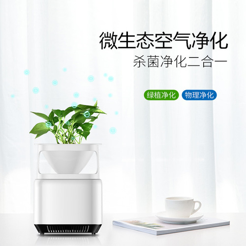 Noibuk Air Purifier Household Desktop Small Space Formaldehyde Secondary Smoke Cleaner E-commerce Gift Customization