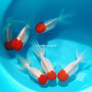 ���~���~��ˮ�~�^�p�~���B�ͻ���~�~�������tñ�����~