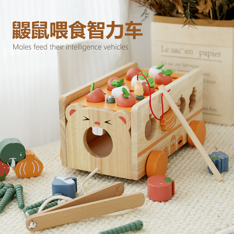 Montessori Early Childhood Toy Children Baby Baby Puzzle Feeding Pull Cage Cage Building Blocks Fruit Puzzle Cognition Fruits and Vegetables