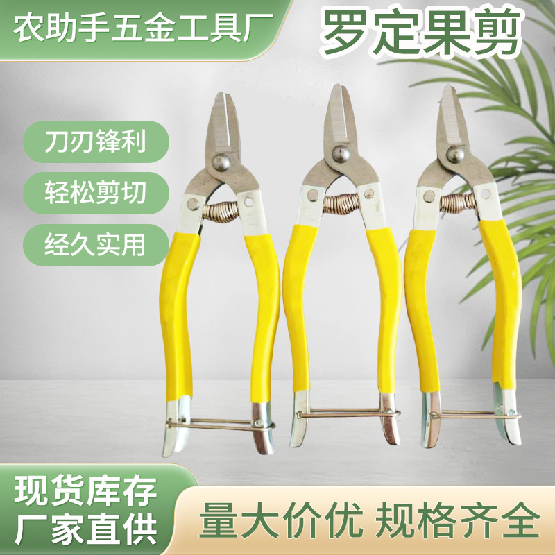 不锈钢罗定树枝果剪果疏花艺园林剪刀把橘子采摘修枝稀果