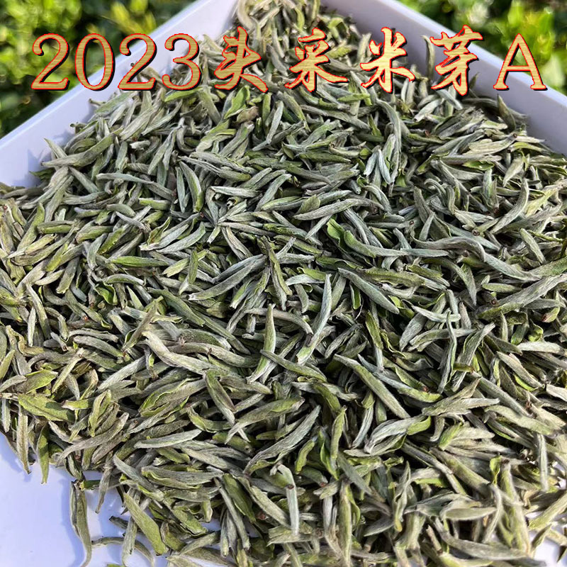 2023米芽银针A主图.jpg