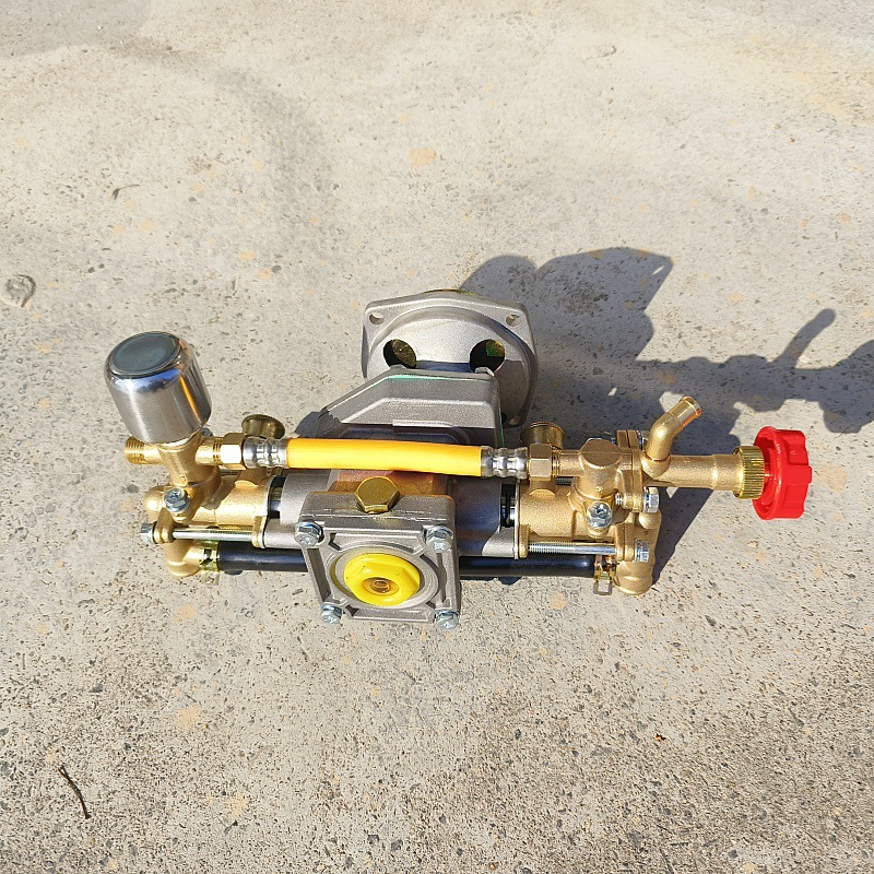 IMG_20240115_135832_副本