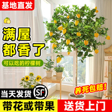 ˮʘԎʳ҃ȿ͏dGֲϱNֲļB