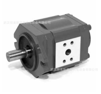 德国HYDAC贺德克齿轮油泵PGE100-75-RMIA-N-XXXX