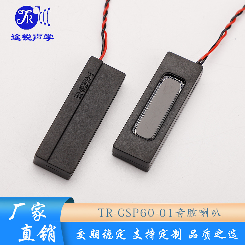 TR厂家直供正出声腔体喇叭AI小智平板电脑智能家居便携显示扬声器