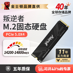 ��ʿ�D�ٷ���Ʒ ������SSD�̑BӲ�P M.2�ӿ�(NVMe PCIe 5.0&times;4)