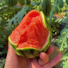 ����������˺2k����ƤС�������r���Ϯ����ϴ���a��ֱ�l���]�ޕr