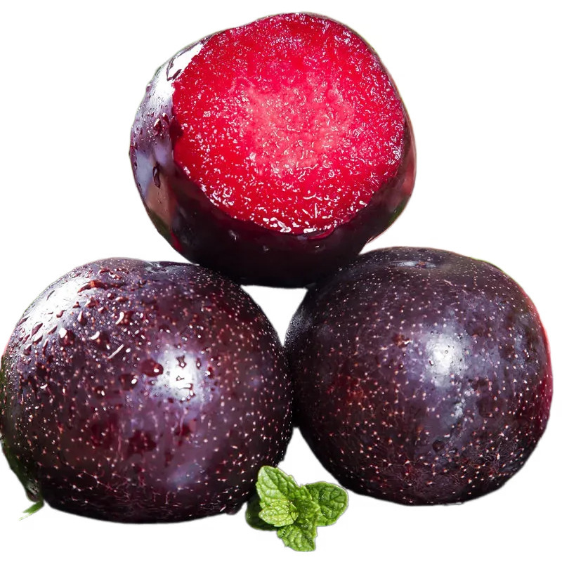 Henan Shaanxi Blood-Red Rose Plums Fresh Fruit Red-Fleshed Plums Free Shipping Direct from the Place of Origin Rose Plums Dropshipping Henan Shaanxi Blood-Red Rose Plums Fresh Fruit Red-Fleshed Plums Free Shipping Direct from the Place of Origin Rose Plums Dropshipping