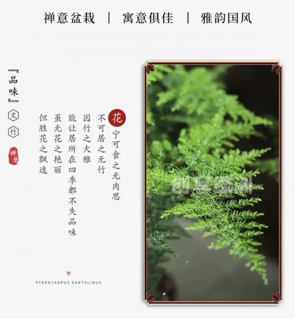 ad8c002b-247b-4e88-943d-015c218192b5.jpe