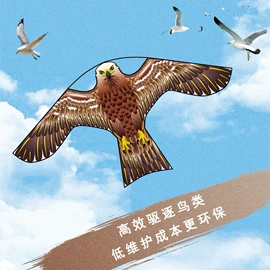 风筝;节庆用品;景观灯