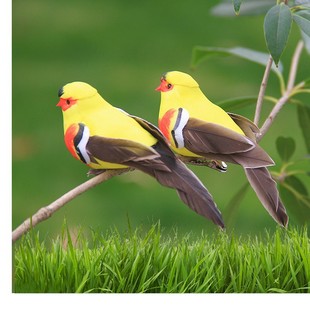 ����С�B��ĭ��ë�B��֦�b�Ʒ�����}�Q�A�Ӽ��B��ɫС�B