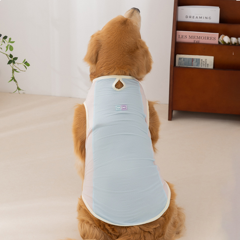 Perro de primavera y verano, perro mediano y grande, macaron, perro mascota, malla, protector solar, chaleco fresco, perro grande, golden retriever, ropa fresca