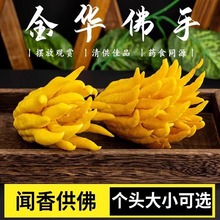 新鲜佛手柑观赏闻香香橼可食用天然香薰香云南佛手柑鲜货清香宜人