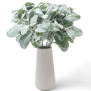 ���R�d����ֲë�����ö�ֲ���~�ٻ����l��c�b�Ʒ�~�Gֲ���b�[��