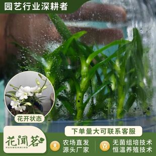 ��ʯ�� 3046 ����ƿ���׳ɻ�M��С�� �҃������Ի�������r��