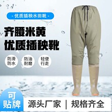 Դ�^�S����ˮѝ�R��ѝ��ĥ��~ѝ���~����ѝ��ˮ��������Ь��ˮѝ