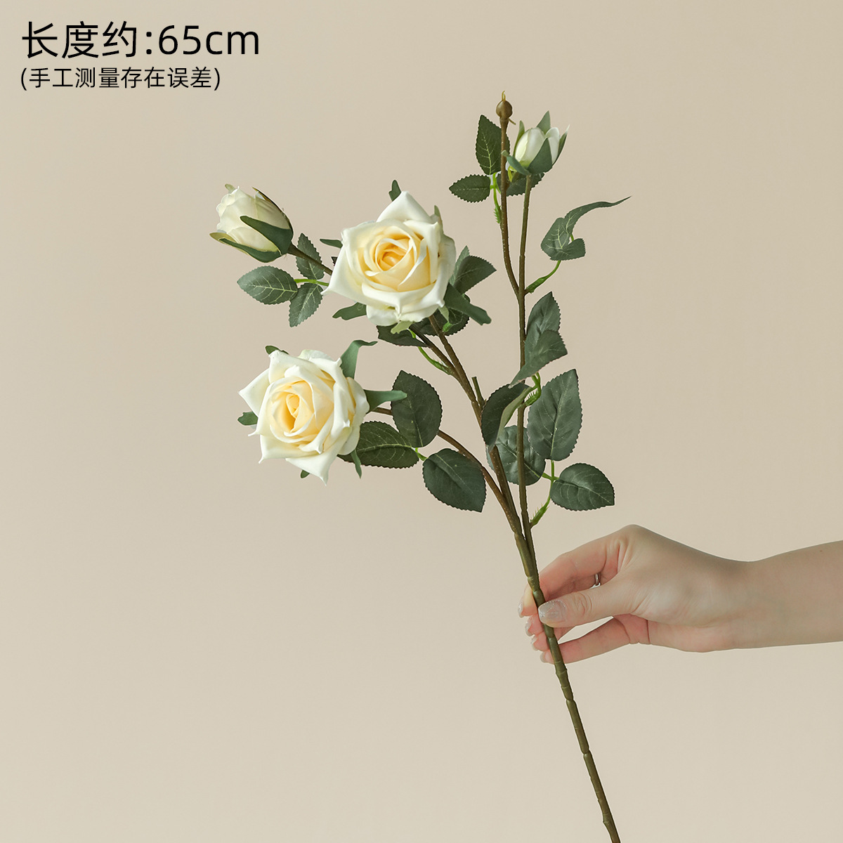 여러 개의 머리가 달린 장미 흰색 하나