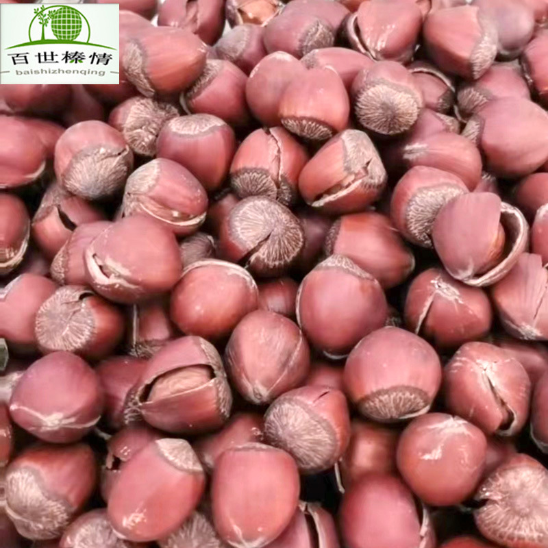 新货东北特产开口大榛子薄皮玉坠榛子原味零食手剥熟坚果500g批发