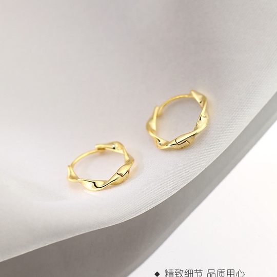S925 Sterling Silver Wholesale Mobius Ring Earrings Twist Earrings 2020 New ins Ear Ring Trendy Women's Earrings