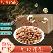 箱装批发红皮原味花生果仁饭店花生米餐饮下酒菜休闲小零食坚果