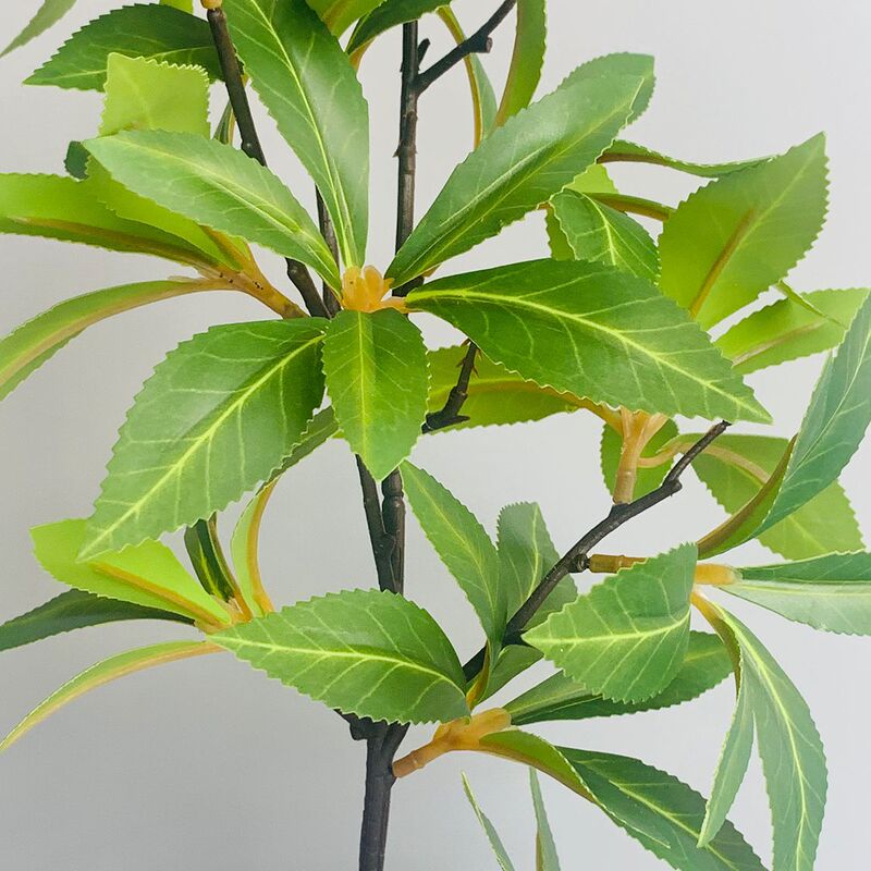 模擬馬酔木の葉、緑の植物、花の葉、装飾鉢植え、ツリーガーデンエンジニアリング、家庭用緑化用品|undefined