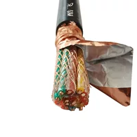 Computer cable DJFVP polyfricon -resistant high -temperature wire woven shielding DJYPV/DJF46P46P/KFFP