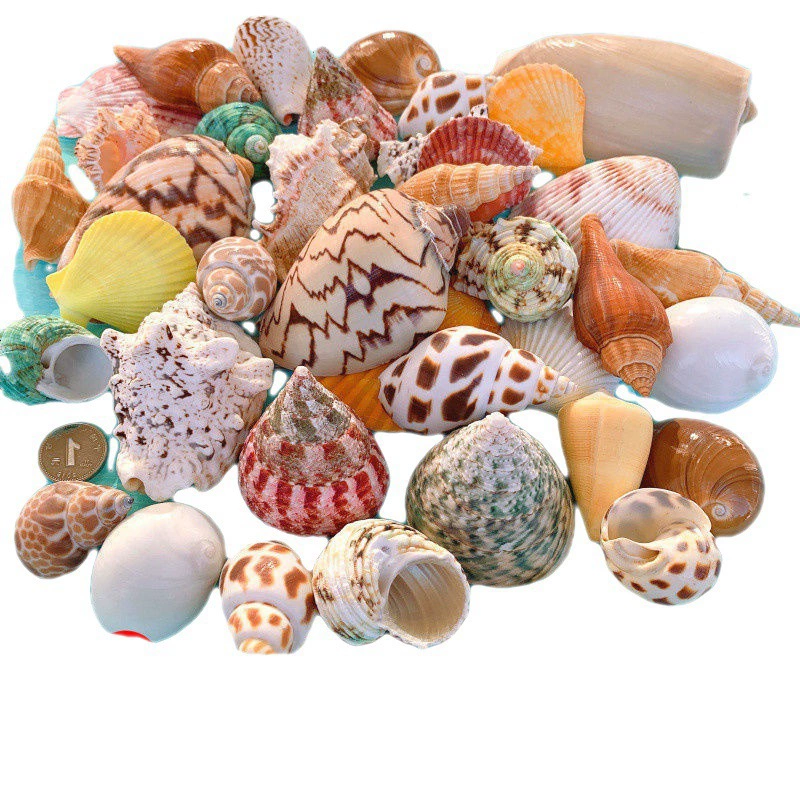 Aquarium decor, materials set for swimming, starfish