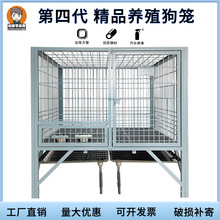 ���\�Ӵ���Ȯ����Ȯ���⎧�бP�����RȮ�ش�̖����\�Ӵ֑��⹷�\