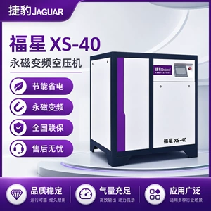 Jaguar air compressor air storage tank 30KW 40 HP 30 kilowatt air compressor 5 cubic meters screw air compressor XS-40