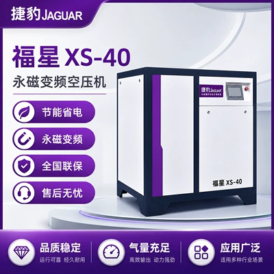 Jaguar air compressor air storage tank 30KW 40 HP 30 kilowatt air compressor 5 cubic meters screw air compressor XS-40