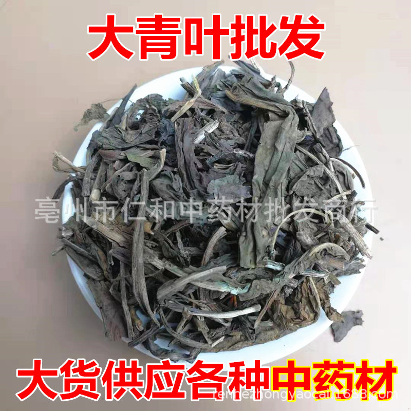 Da Qing Ye Dried Isatis Leaf Bulk Chinese Herbal Tea Ingredient 500g overview