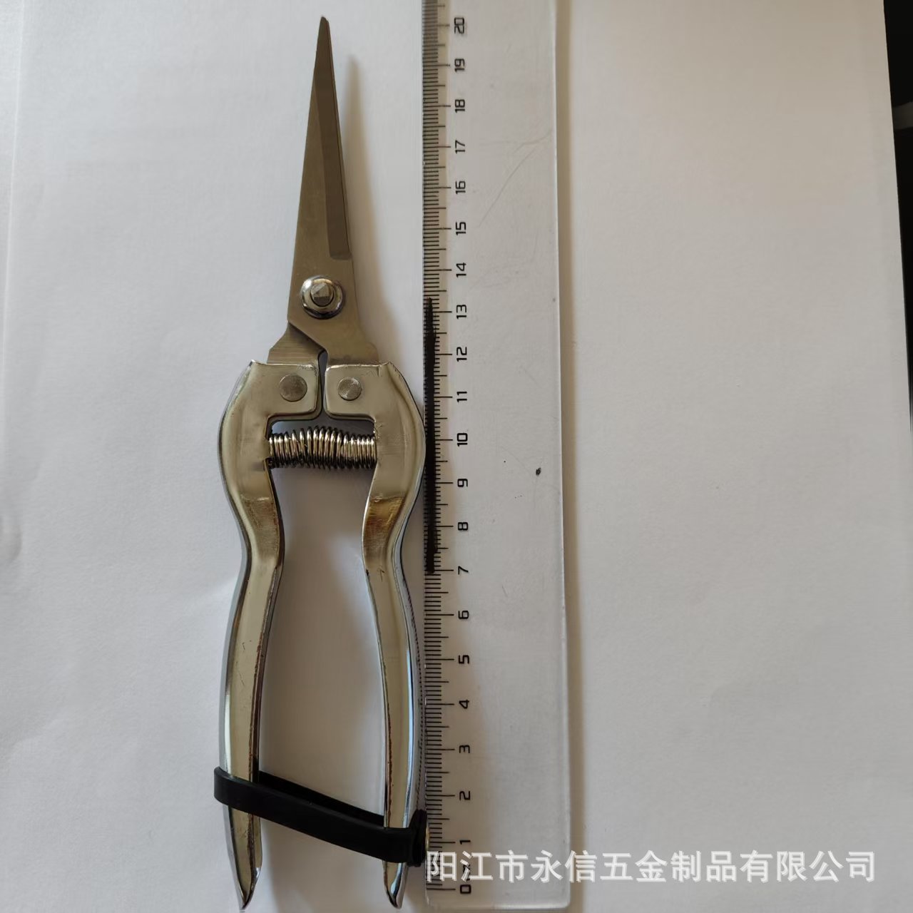 不锈钢摘果修枝剪锯齿型直头荔枝龙眼稀果采摘剪刀