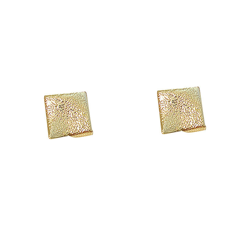 S925銀色のつや消し合金のイヤリングの女性の新型の軽くて豪華な高級感のイヤリングの気質の小さい大衆のファッションの耳飾りの卸売り|undefined