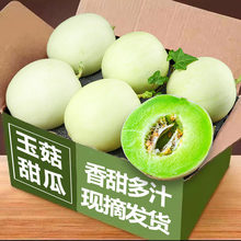 ���r�Fժ����������ˮ�������������ڑ����r��С�۹���ϳ���