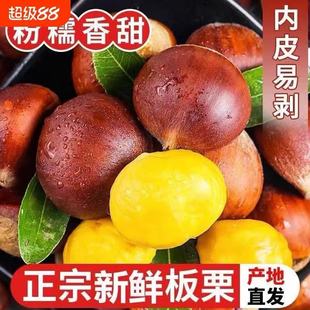 �����Ϙ䵤�|�����r��ë���������������Fժ�߲������Ŵ���l�ó�