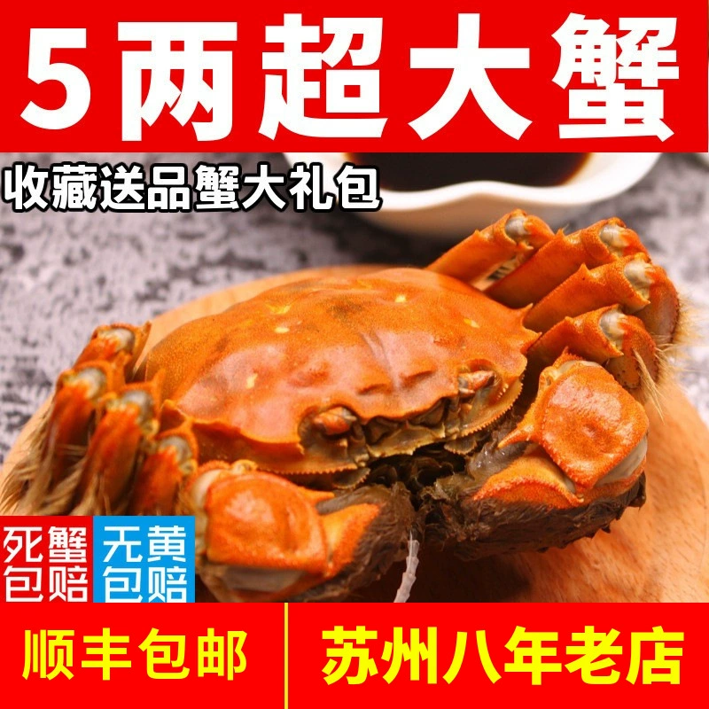 Живые крабы в наличии, свежие целые самки и самцы, подарочная упаковка, дропшиппинг, бесплатная доставка через SF Express.