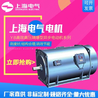 上海电气集团上海电机厂电动机YB高效高压电机隔爆型185kw-6300kW