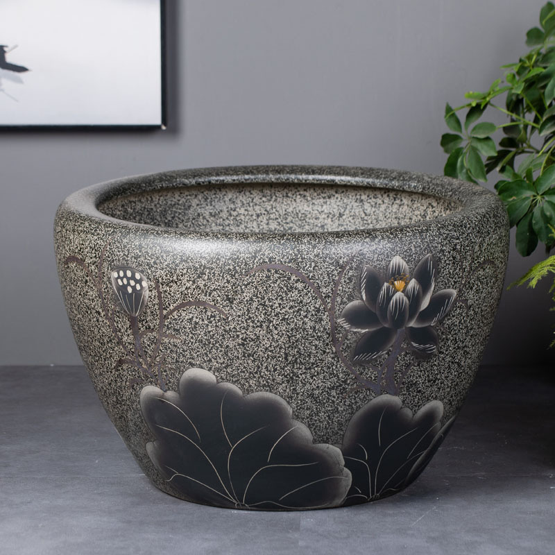 մɴ׹ŷڹɻ˯׹˾ͥԺڼˮ