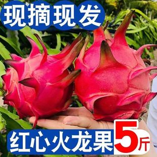 ���r�Fժ�F�l��ϏV���t�Ļ��������𑪼�ˮ��3/5�� һ���b